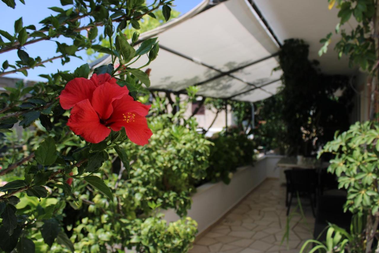 חוואר Apartments & Rooms Anita מראה חיצוני תמונה