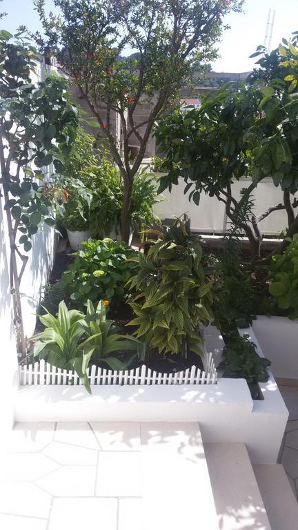 חוואר Apartments & Rooms Anita מראה חיצוני תמונה